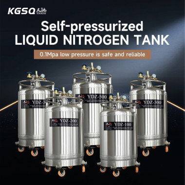 Romania-Self-pressurized liquid nitrogen tank-cryogem liquid nitrogen container