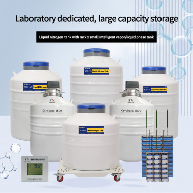 Kosovo-liquid nitrogen tank cell storage-nitrogen tanks